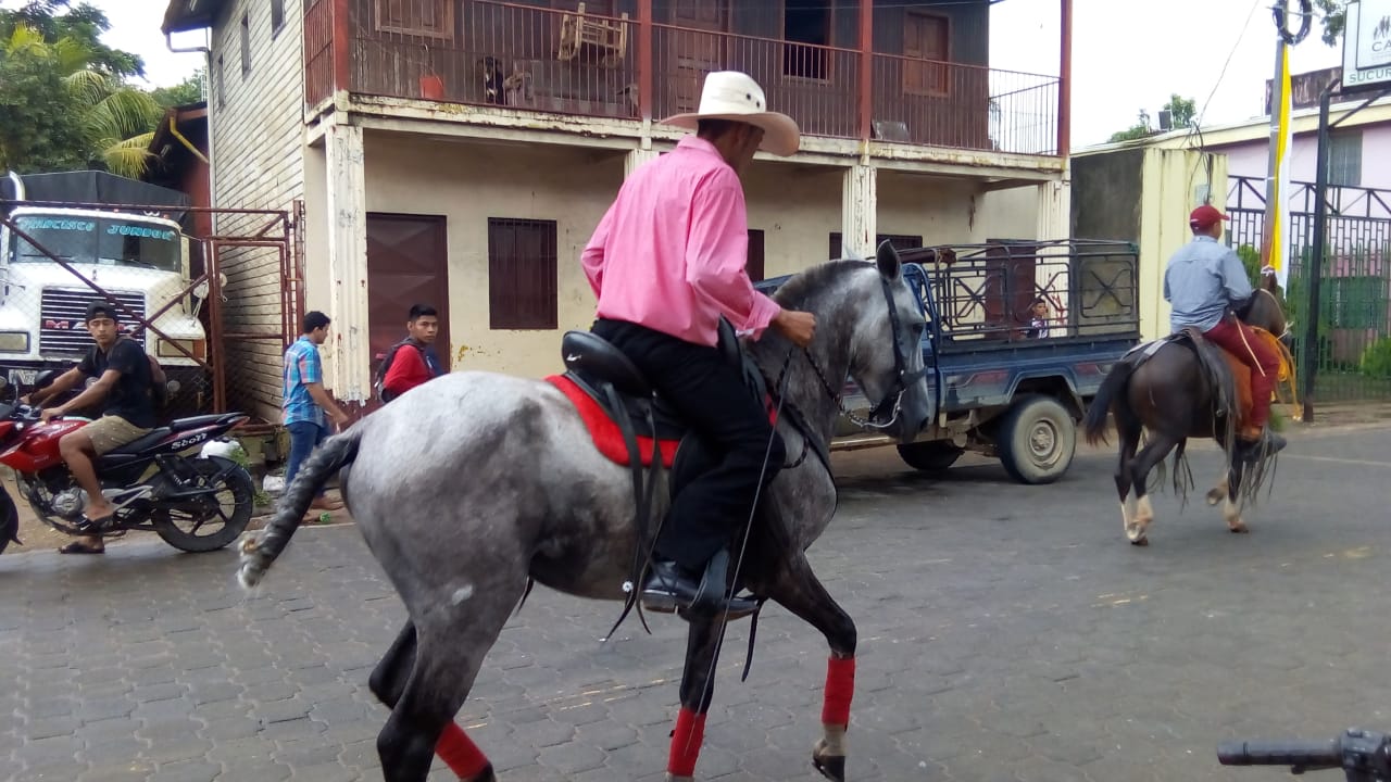 Hipico1